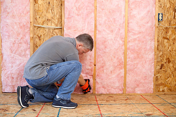 Best Insulation Maintenance and Repair in Stonecrest, GA